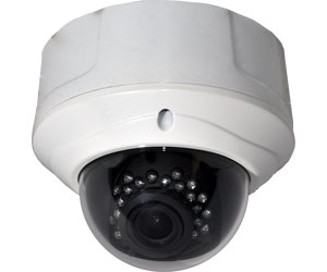 Sony Color CCD 540 TV Line 2.8-11mm Dome Camera with 21 IR