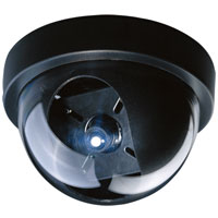 Dome Camera with Sony Super HAD CCD, 480 TV Lines, 3.6mm Lens, 0.1 LUX