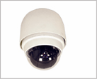 PTZ IP Cameras PTZ IP Cameras