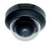 CD35-VPW-SL: Sony CCD COLOR Vandal Proof Dome
