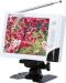 MC06TV: High Resolution 6" TFT/LCD Monitor