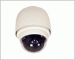 PTZ IP Cameras